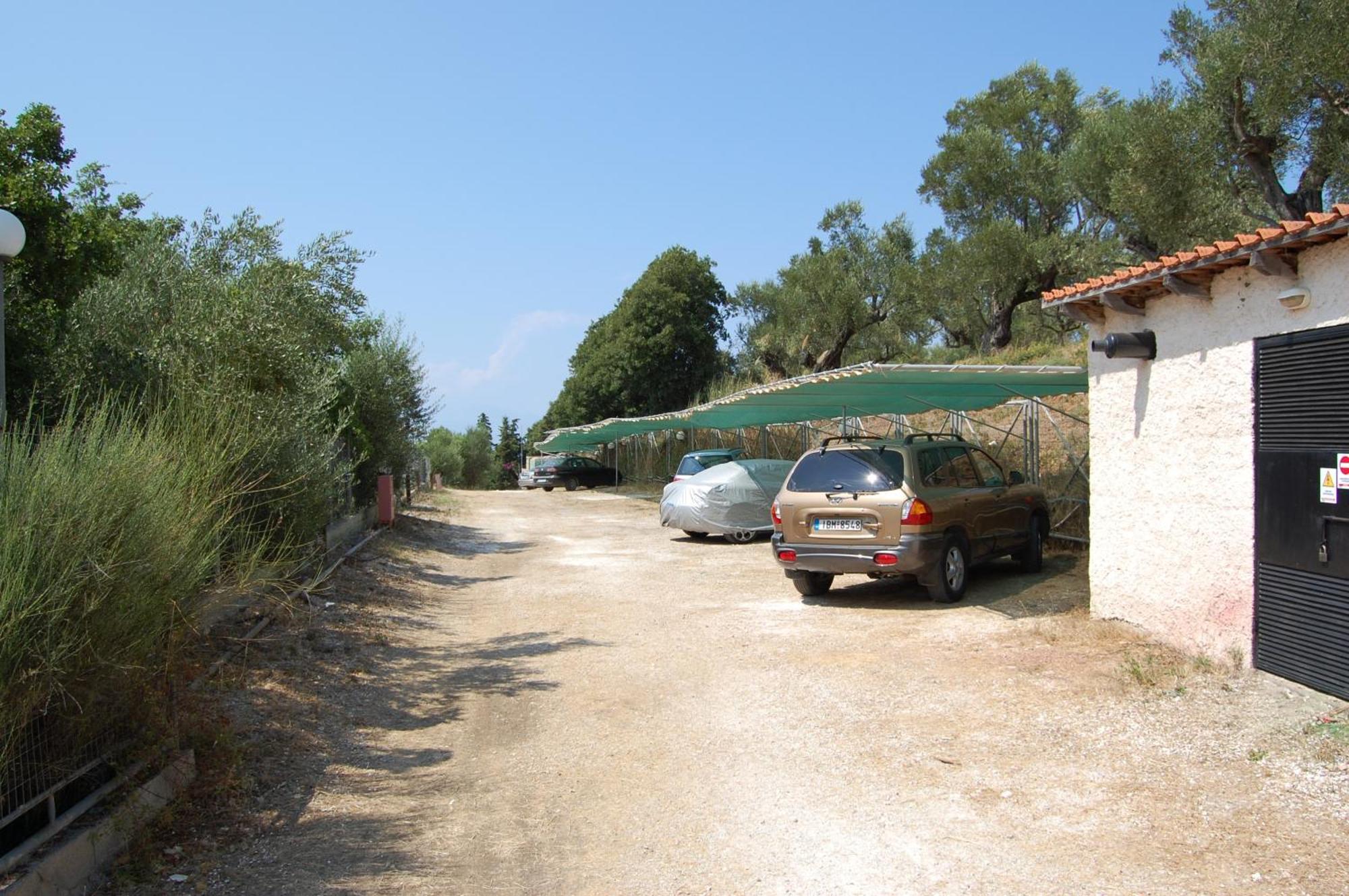 Zante Palace Tsilivi  Exterior foto